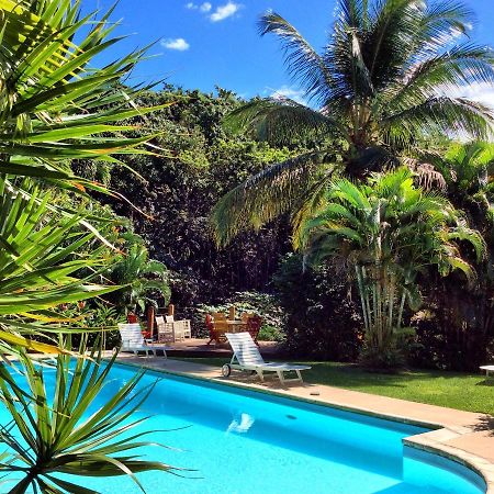 Mangoplaya Villa Deshaies Kültér fotó