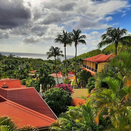 Mangoplaya Villa Deshaies Kültér fotó