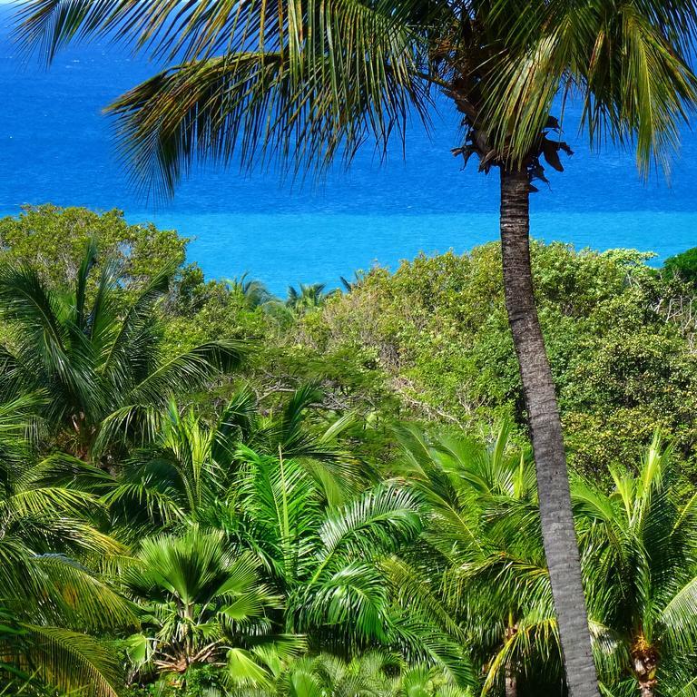 Mangoplaya Villa Deshaies Kültér fotó