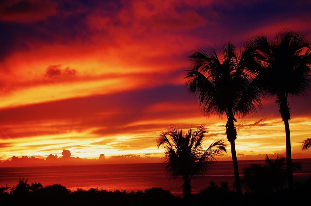 Mangoplaya Villa Deshaies Kültér fotó