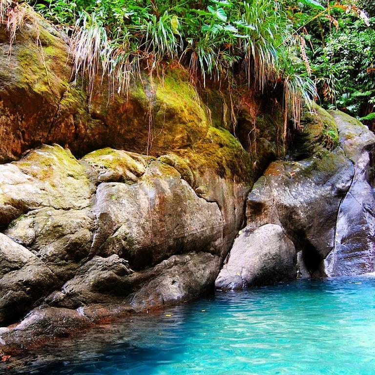 Mangoplaya Villa Deshaies Kültér fotó