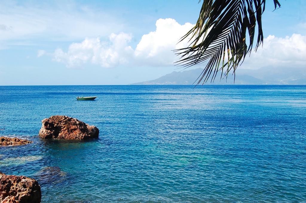 Mangoplaya Villa Deshaies Kültér fotó