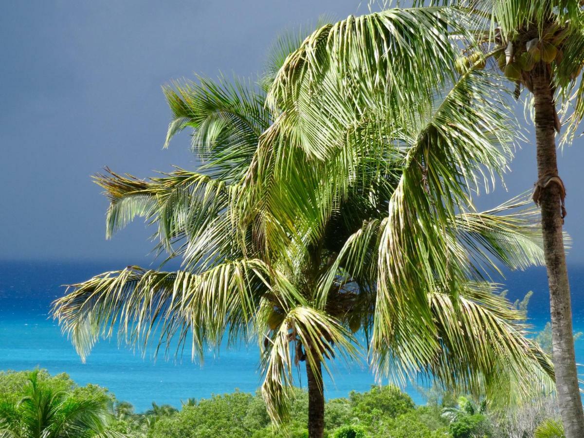 Mangoplaya Villa Deshaies Kültér fotó